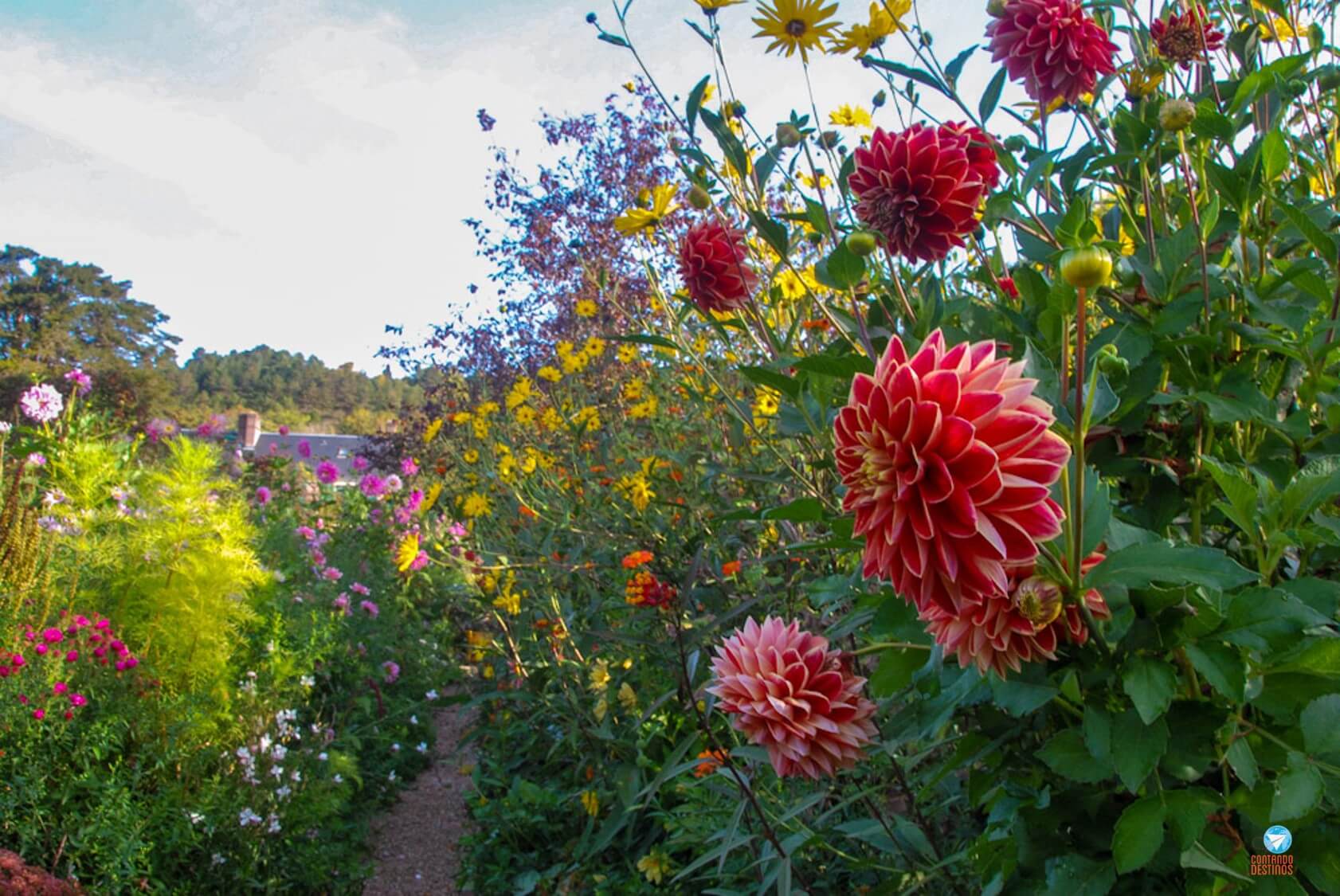 Jardins de Monet no outono