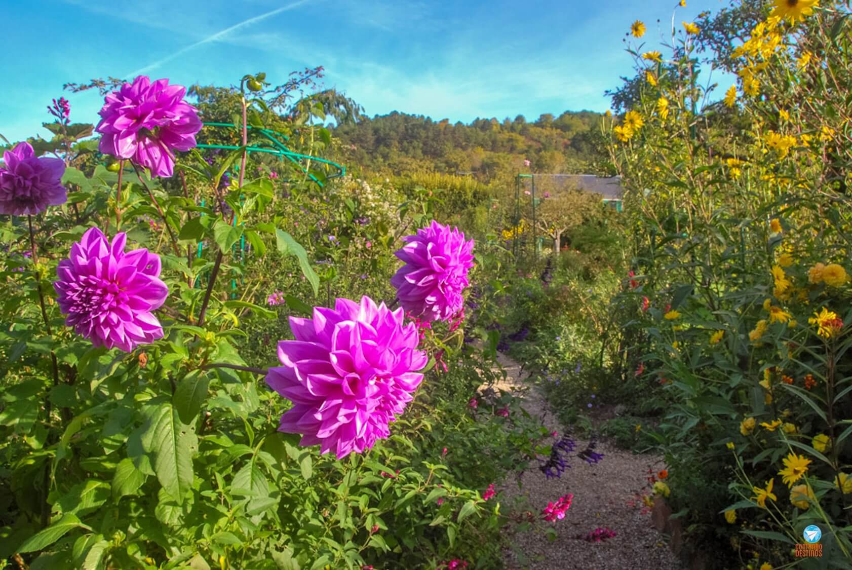 Jardins de Monet no outono