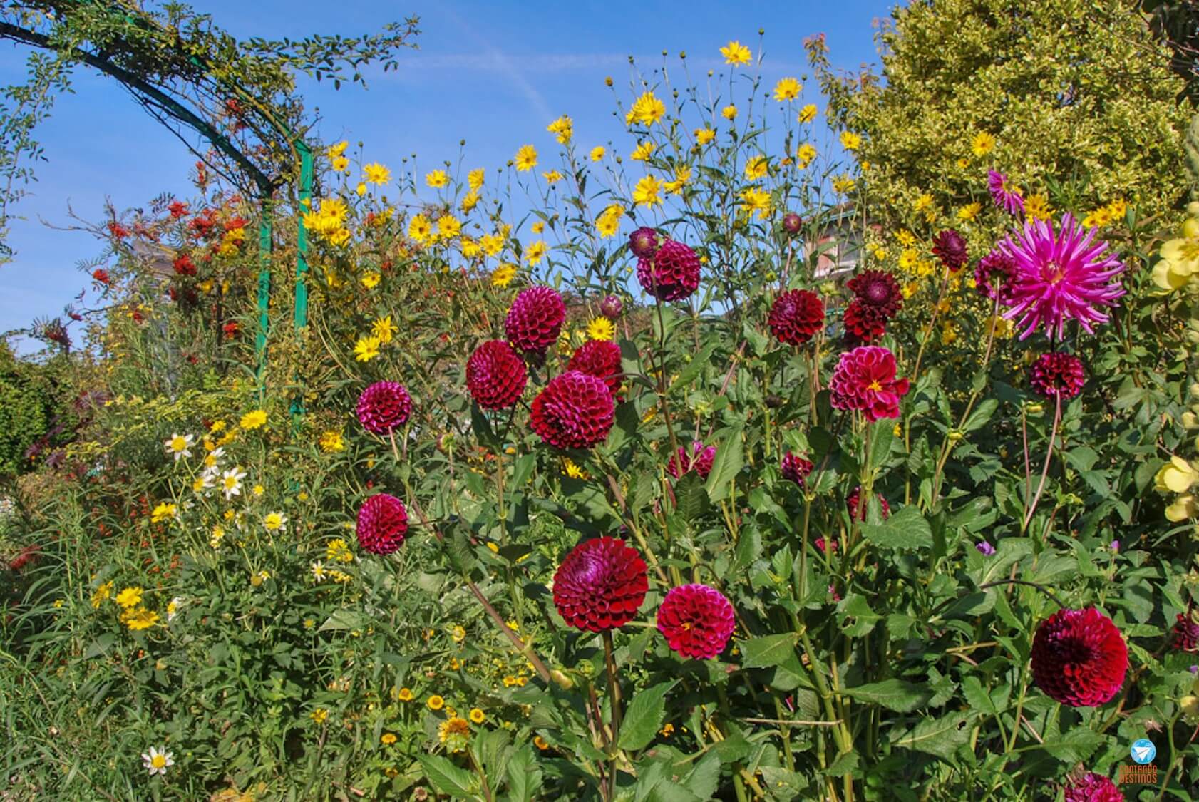 Jardins de Monet no outono