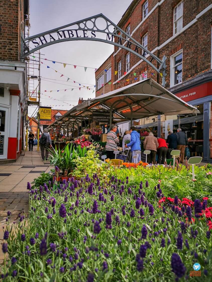 Shambles Market York, Inglaterra